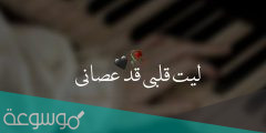 ليت قلبي قد عصاني كلمات