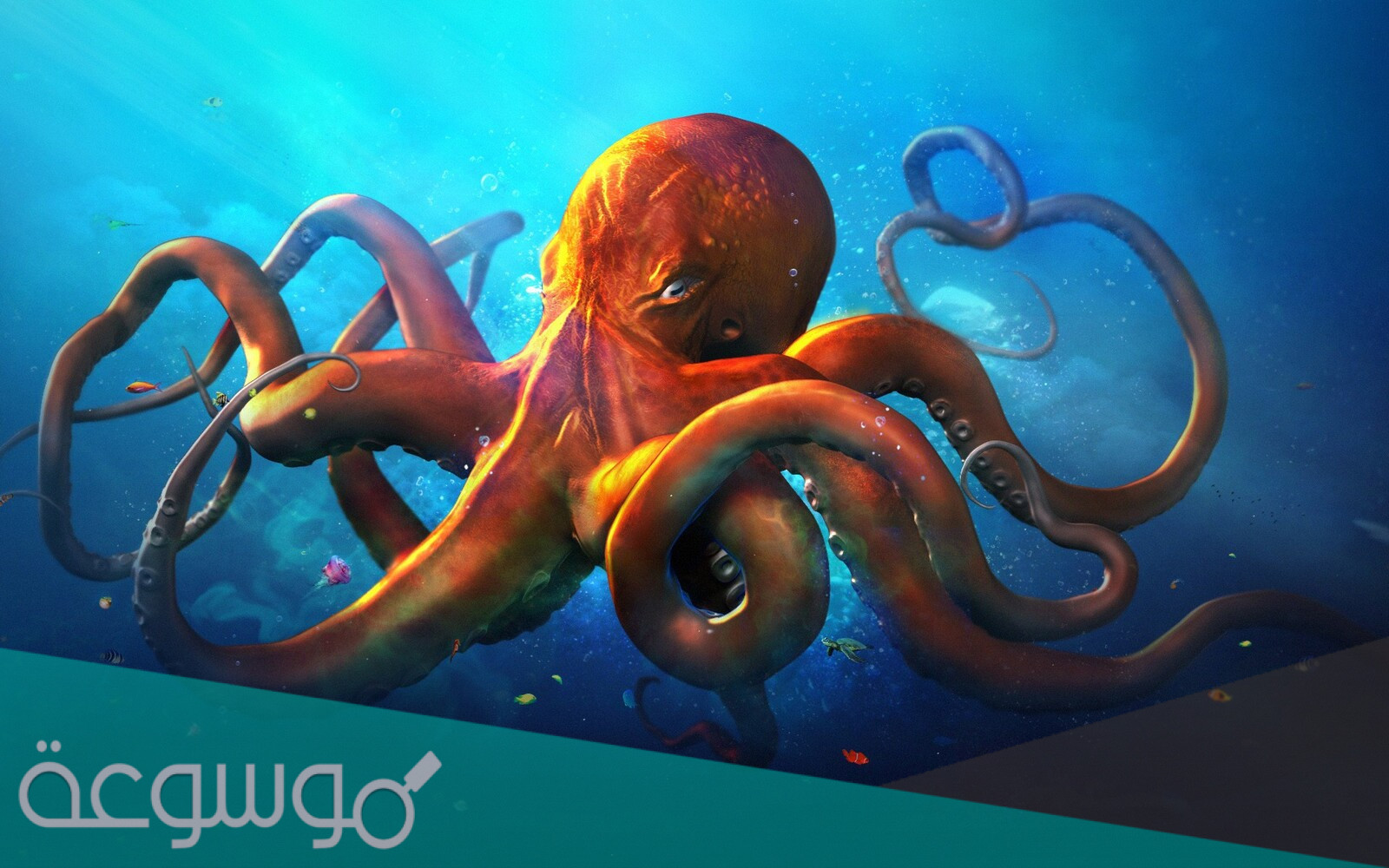 ما هو اذكى كائن بحري