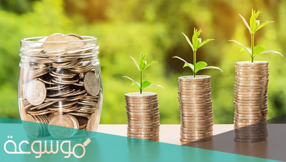 ما هو القطاع الغير ربحي ؟.. وأمثلة عليه