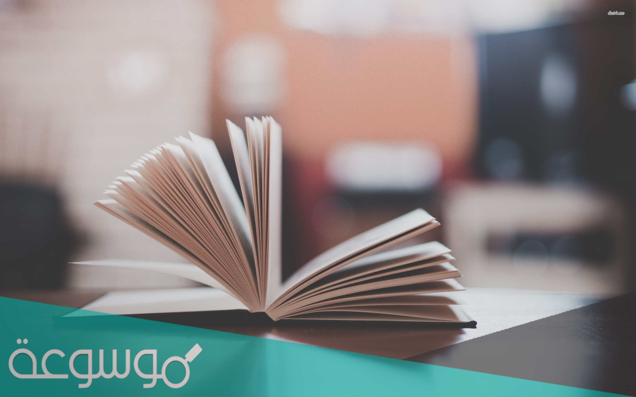 ما هو جمع كلمة فضاء