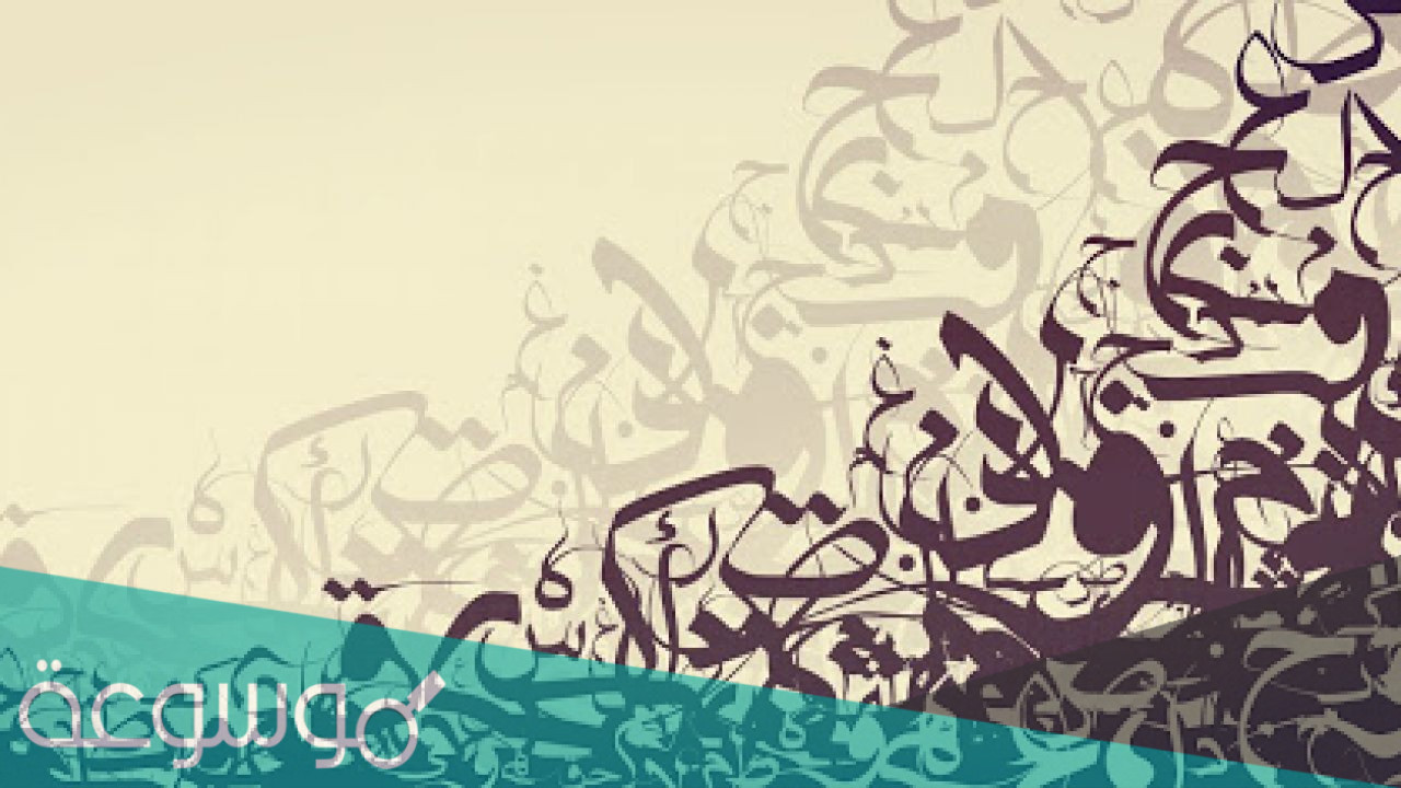 ما هو عكس كلمة هبوط