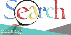 ما هو معنى search