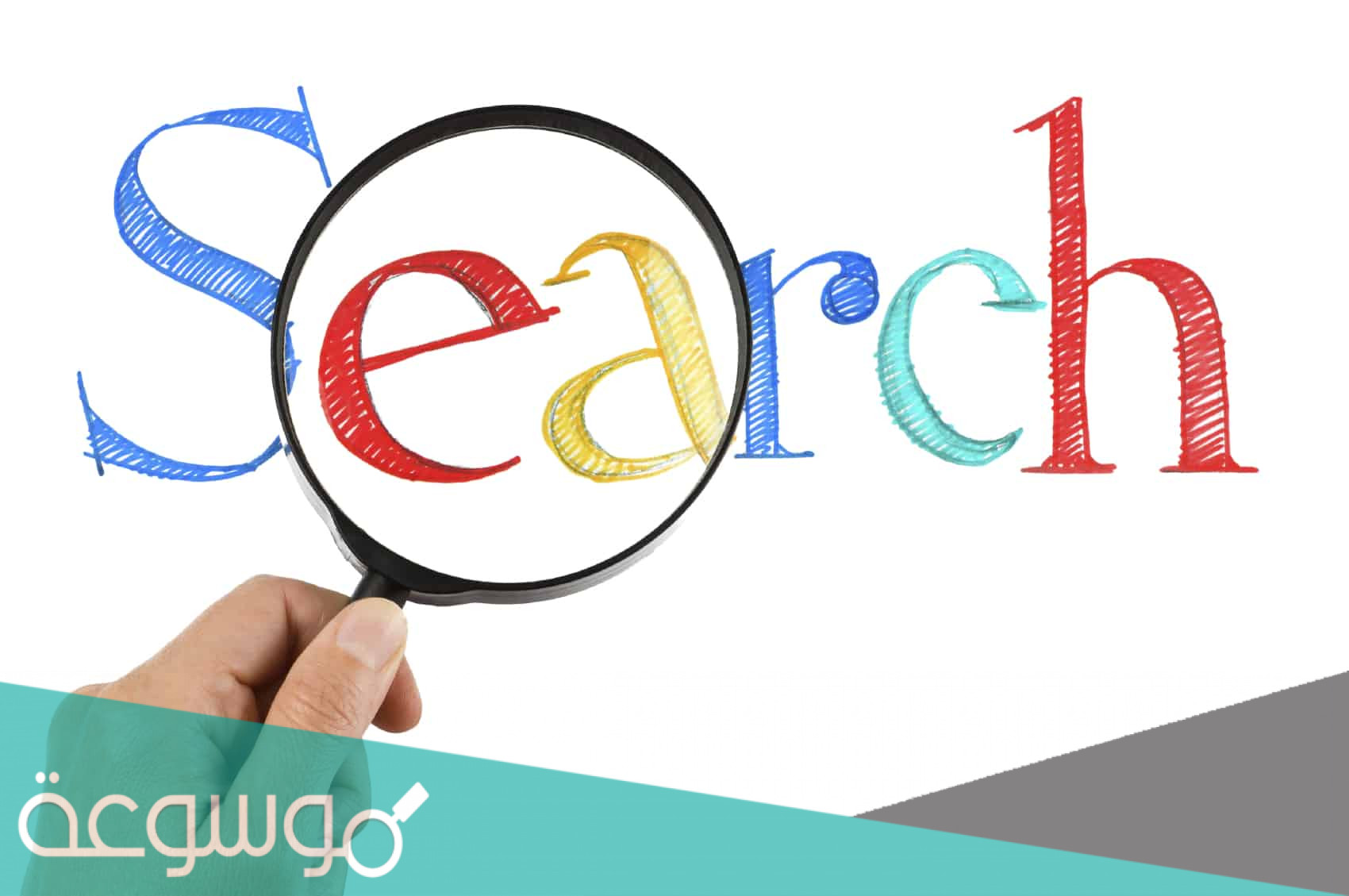 ما هو معنى search