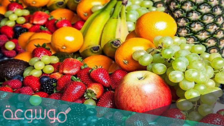 ما هي الفواكه التي تحتوي على بروتين
