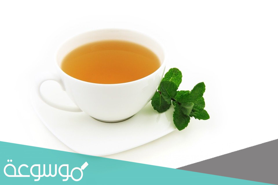 ما هي فوائد النعناع للحامل واضراره والكمية المسموح بها