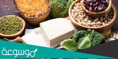 ما هي مصادر البروتين الحيواني والنباتي