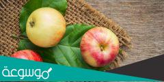 ماهي الفيتامينات التي يحتوي عليها التفاح