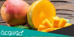 هل يمكن أكل قشر المانجو وماذا يحقق من فوائد 2022