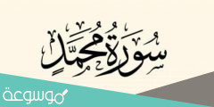 مايستفاد من سورة محمد