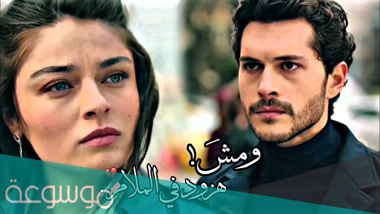 مش هزود في الكلام كلمات