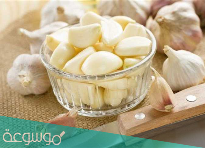 مضاد حيوي طبيعي يستخدم في الطعام والدواء