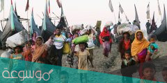 معلومات عن أقلية الروهينغا المسلمة