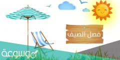 معلومات عن فصل الصيف
