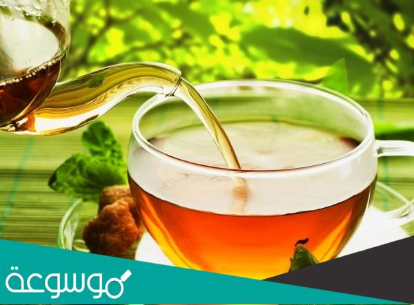 معلومات لا تعرفها عن الشاي