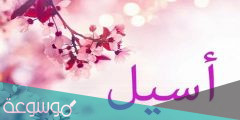 معنى اسم ايسل وصفاتها Aisel