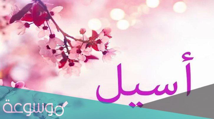 معنى اسم ايسل وصفاتها Aisel
