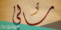 معنى اسم سالي في اللغة العربية