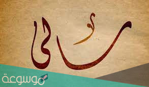 معنى اسم سالي في اللغة العربية