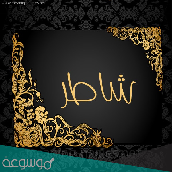 معنى كلمة شاطر