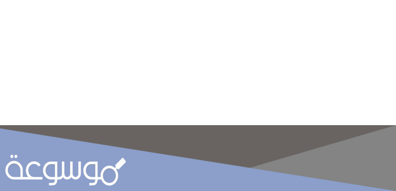 من هو زوج ماغي بو غصن الحالي