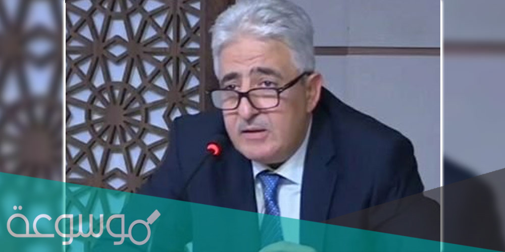 من هو عماد مميش ويكيبيديا