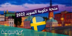 منح دراسية مجانية في السويد 2022 .. كيفية الحصول على منحة دراسية في السويد