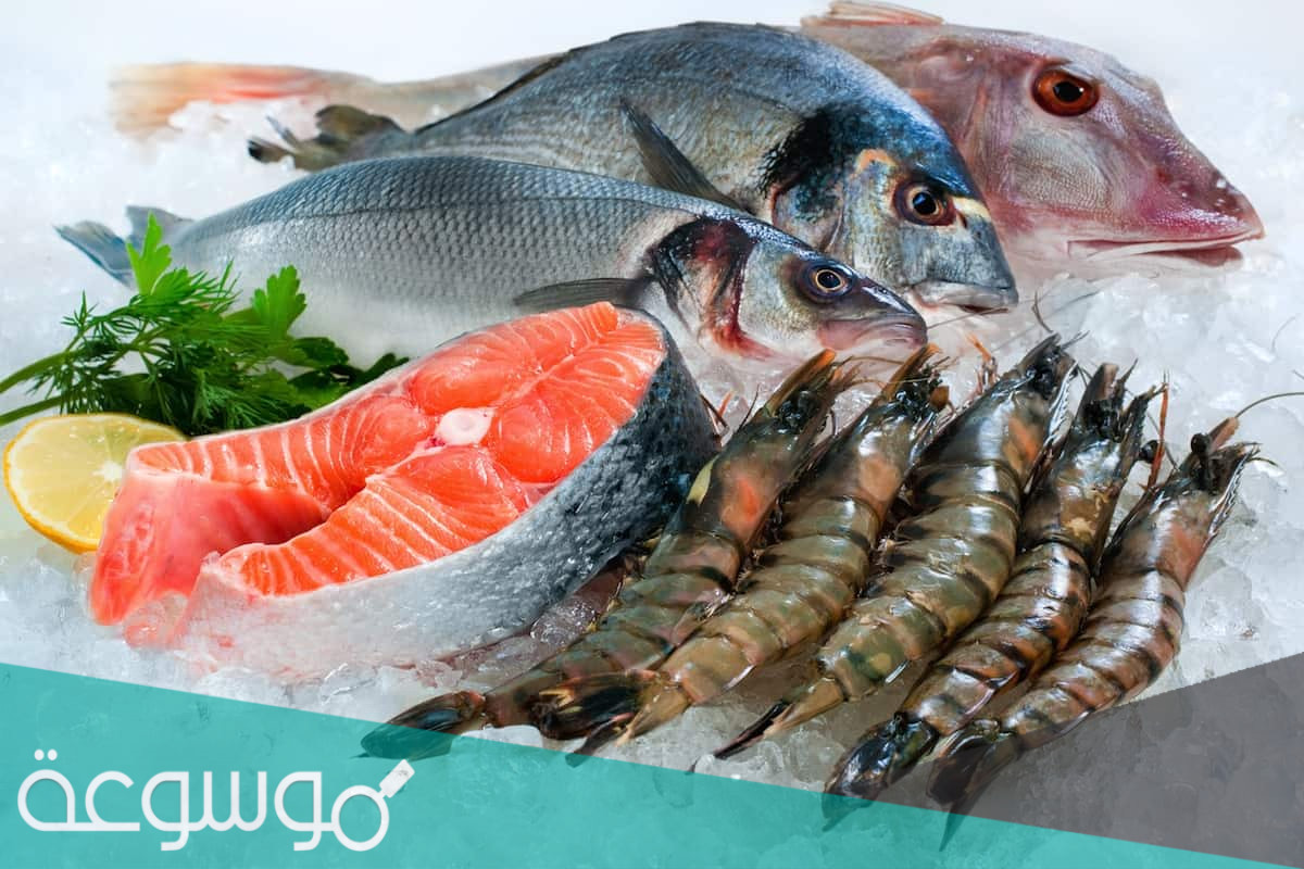 موضوع تعبير عن الاسماك