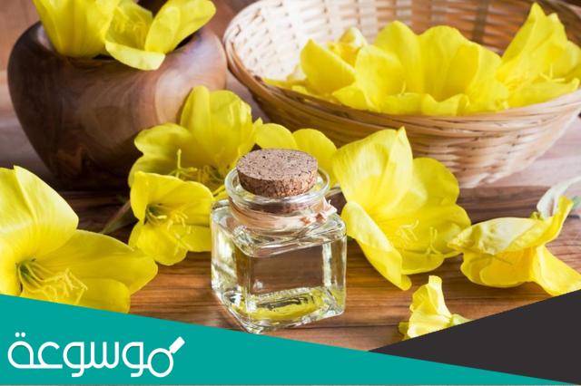 هل استهلاك زهرة الربيع المسائية آمن أثناء الحمل ؟