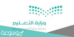 هل الاجازة المطولة تشمل الجامعات