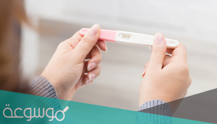 هل الجدول الصيني ثابت