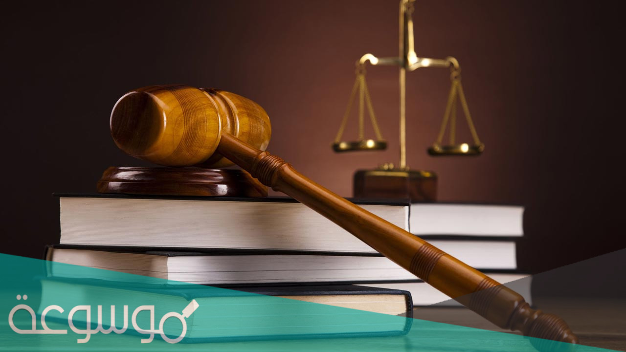 هل تخصص القانون ادبي ام علمي