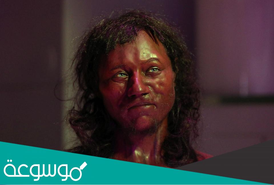 هيكل شيدر مان أقدم هيكل عظمي في بريطانيا