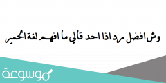 وش افضل رد اذا احد قالي ما افهم لغة الحمير