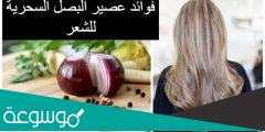 فوائد عصير البصل لتطويل الشعر
