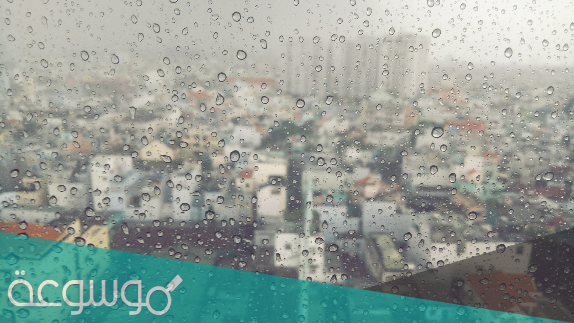 يكثر تساقط الأمطار التصاعدية في