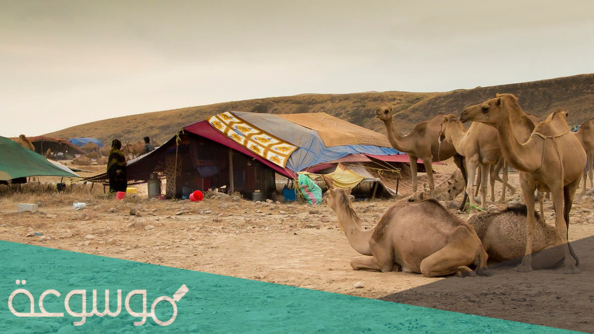 الفهيد وش يرجعون