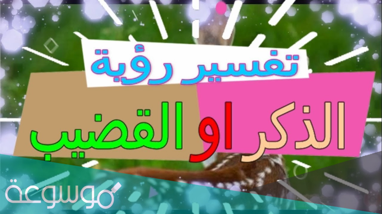 تفسير العضو الذكرى في المنام