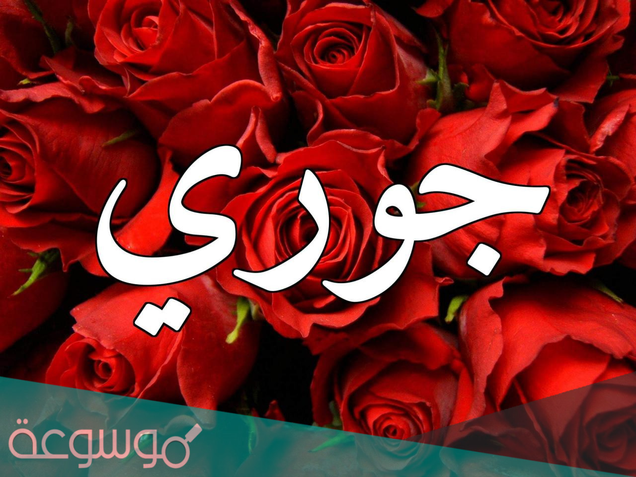 ما معنى اسم جوري