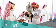 كيفية التسجيل في كأس موسم الرياض للصقور 2022