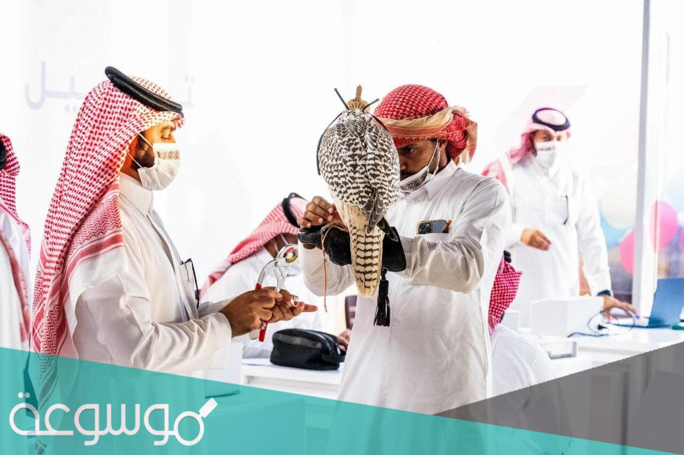 كيفية التسجيل في كأس موسم الرياض للصقور 2022