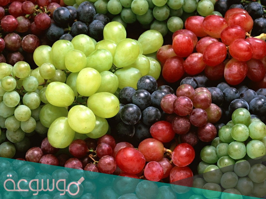 فوائد العنب للجسم
