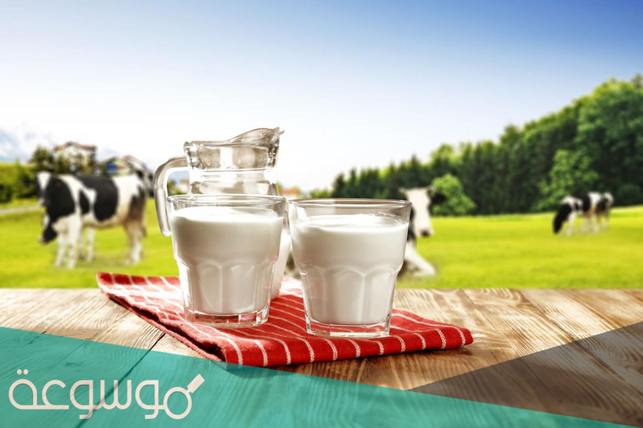 ما هو الفرق بين الحليب واللبن