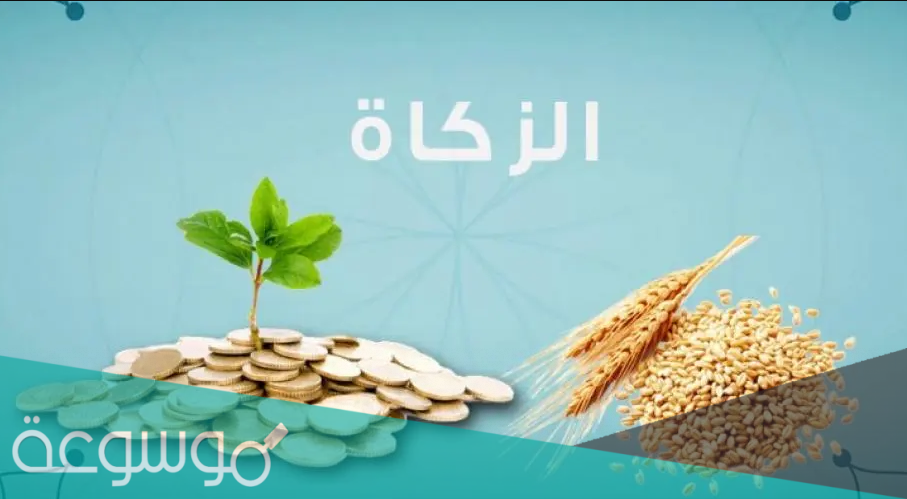 اذكر بعض فضائل الزكاة حديث خامس
