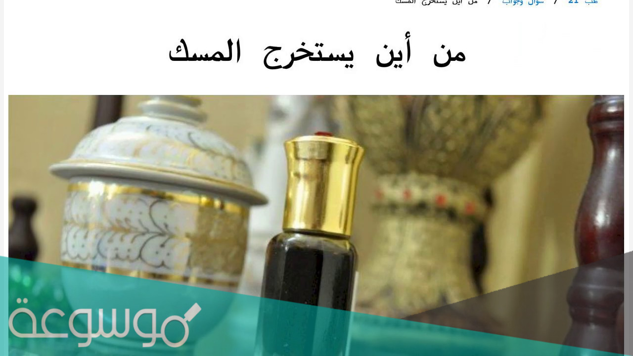 من اين يستخرج المسك الأصلي