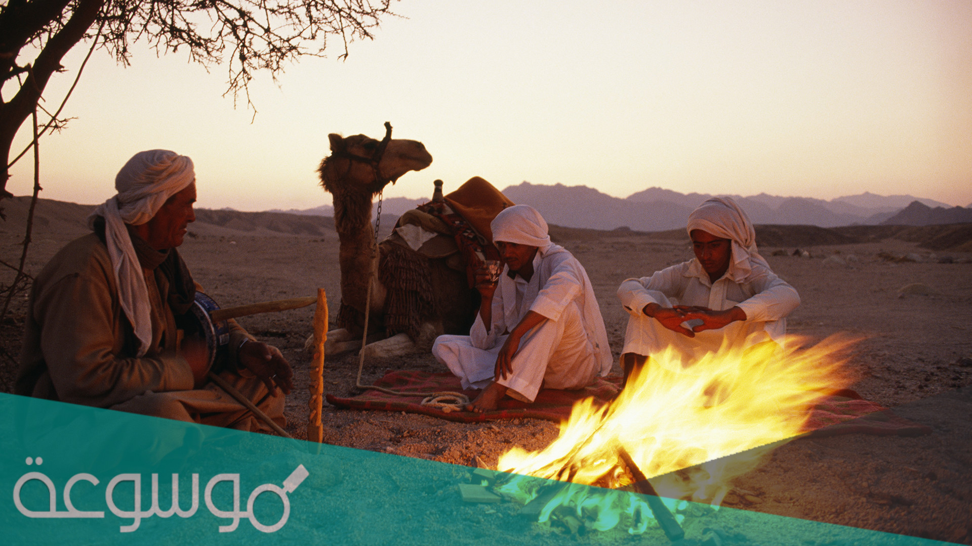 القاب شباب بدويه فخمة 2022