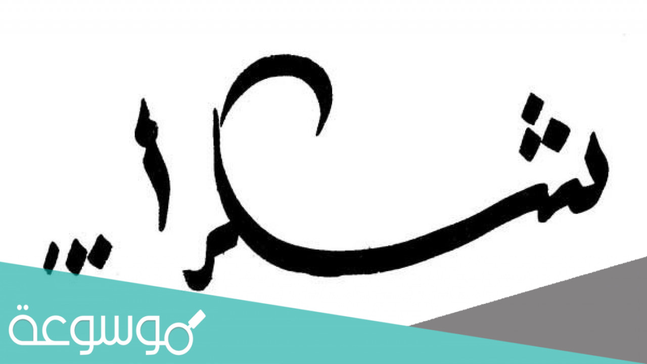 كلمة شكر وتقدير على الجهود المبذولة