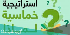 استراتيجية لماذا وماذا وكيف للعالم