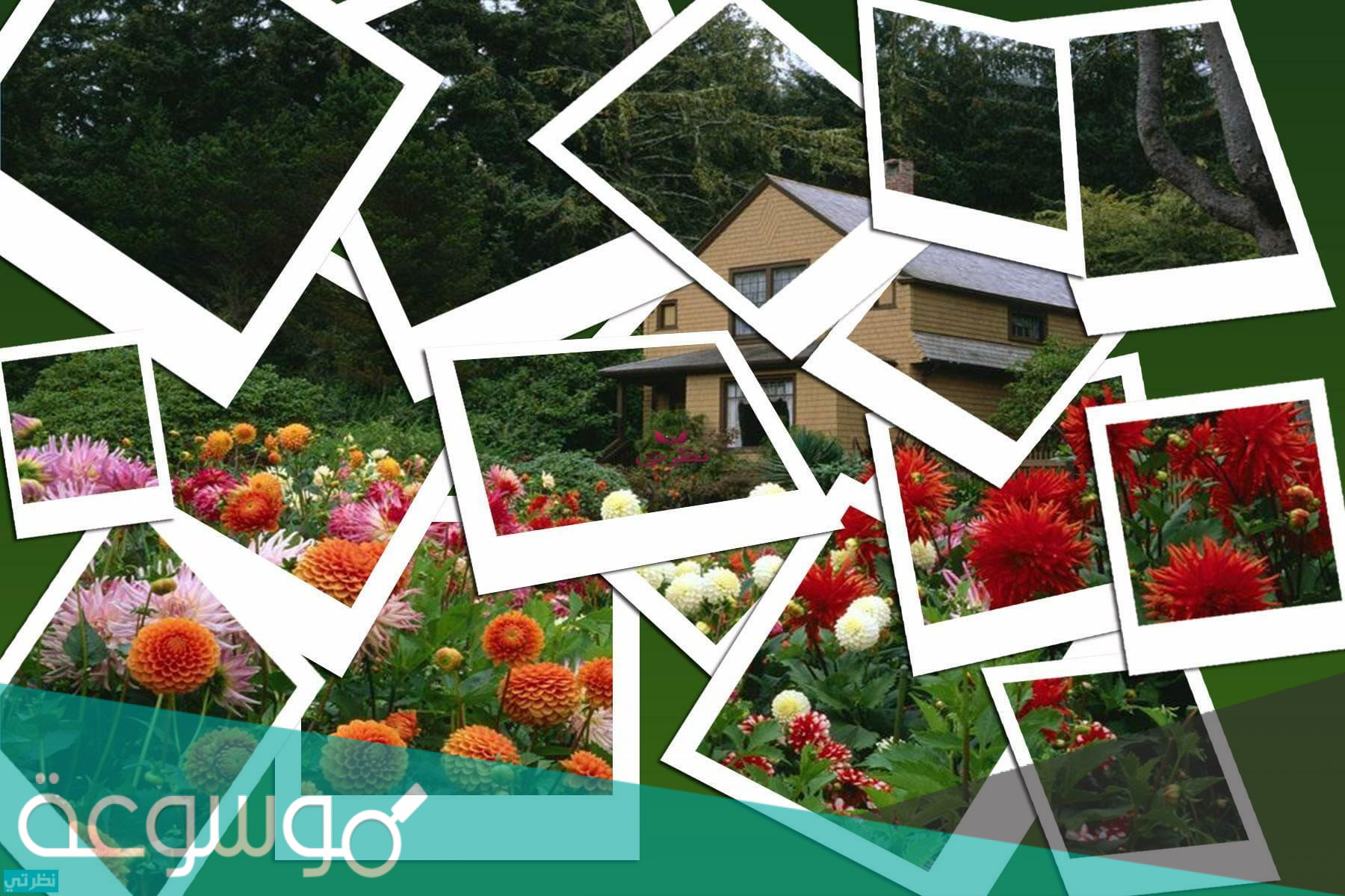 تفسير الصور في المنام للعزباء