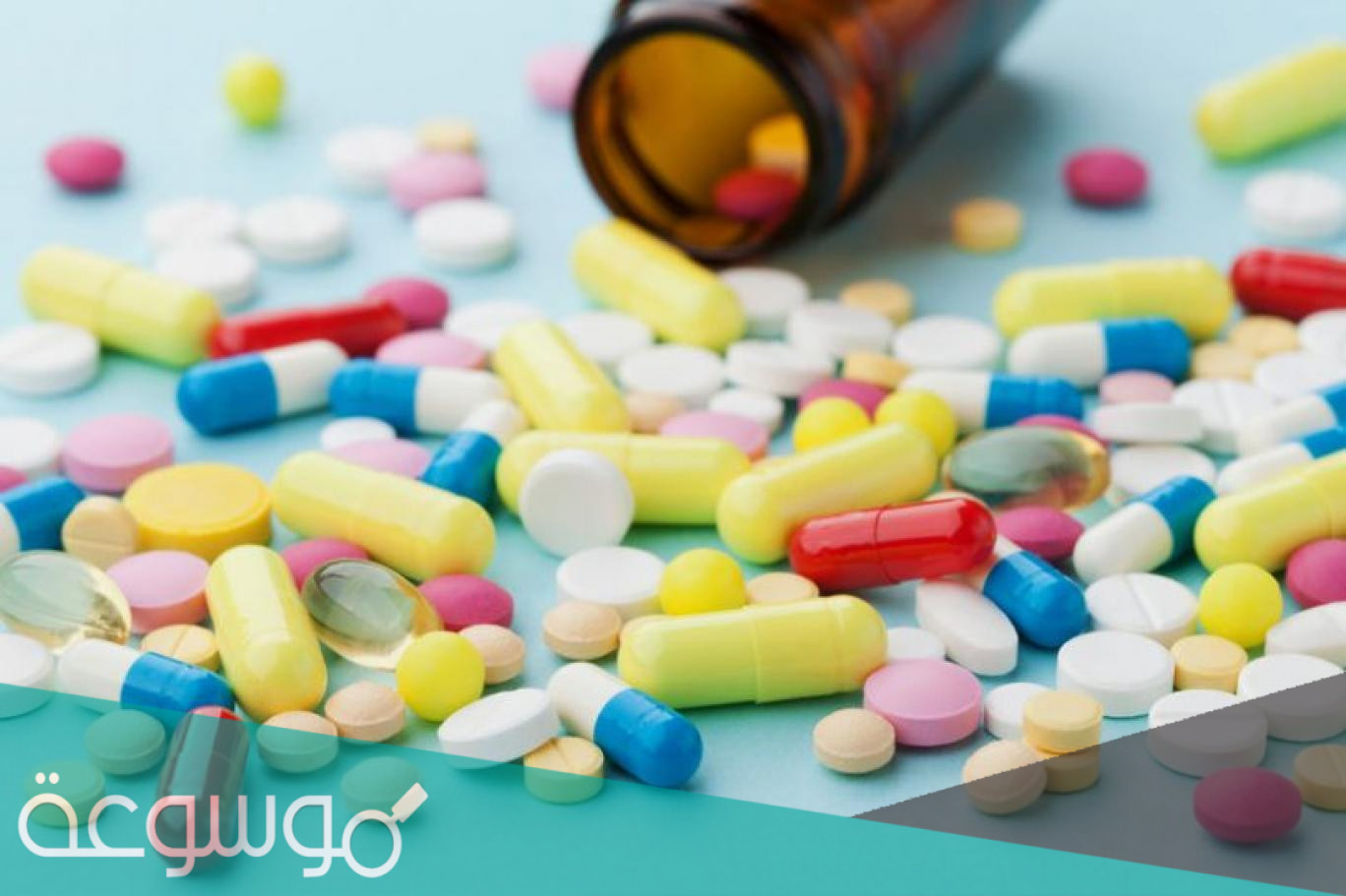 ibu fort لماذا يستخدم