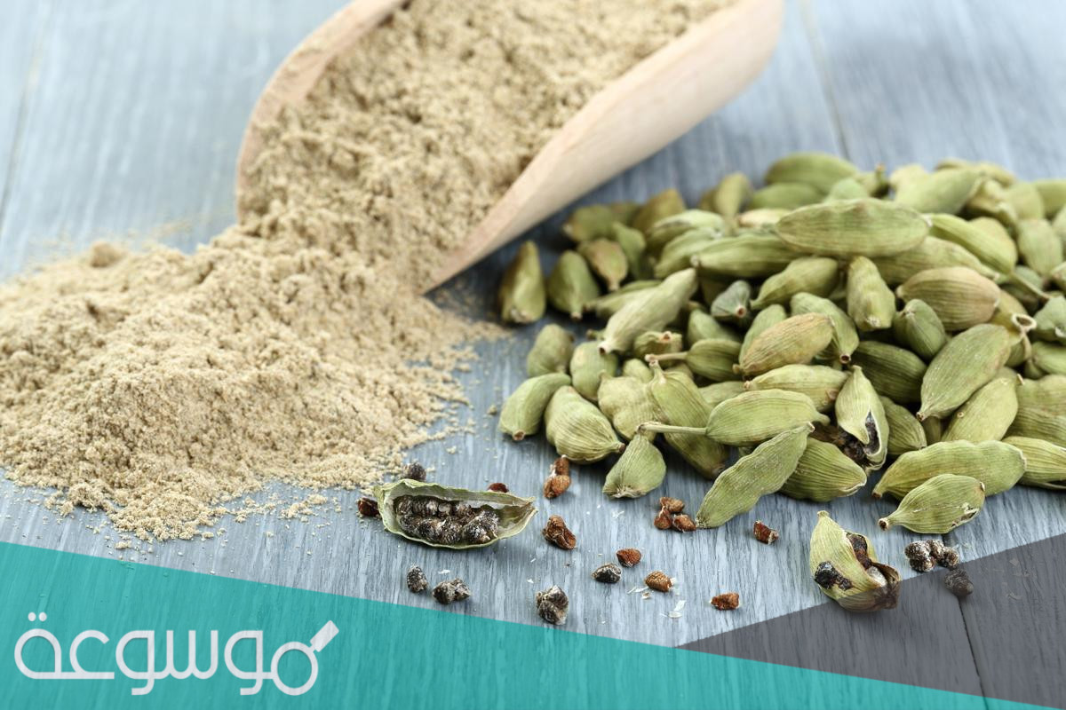 فوائد الحبهان الصحية والعلاجية